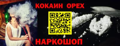 крисы Славгород