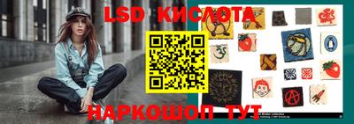 крисы Славгород