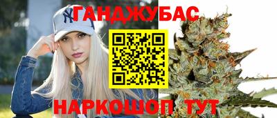 крисы Славгород