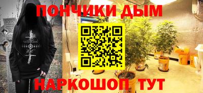 крисы Славгород
