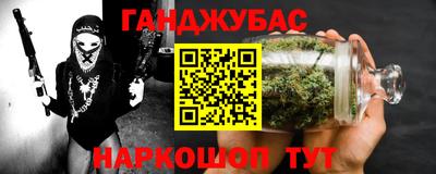 крисы Славгород