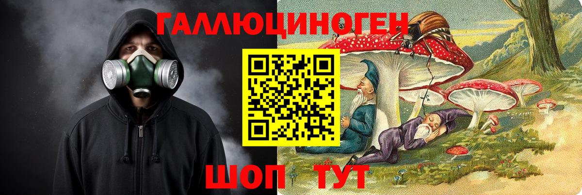 Псилоцибиновые грибы прущие грибы Нововоронеж
