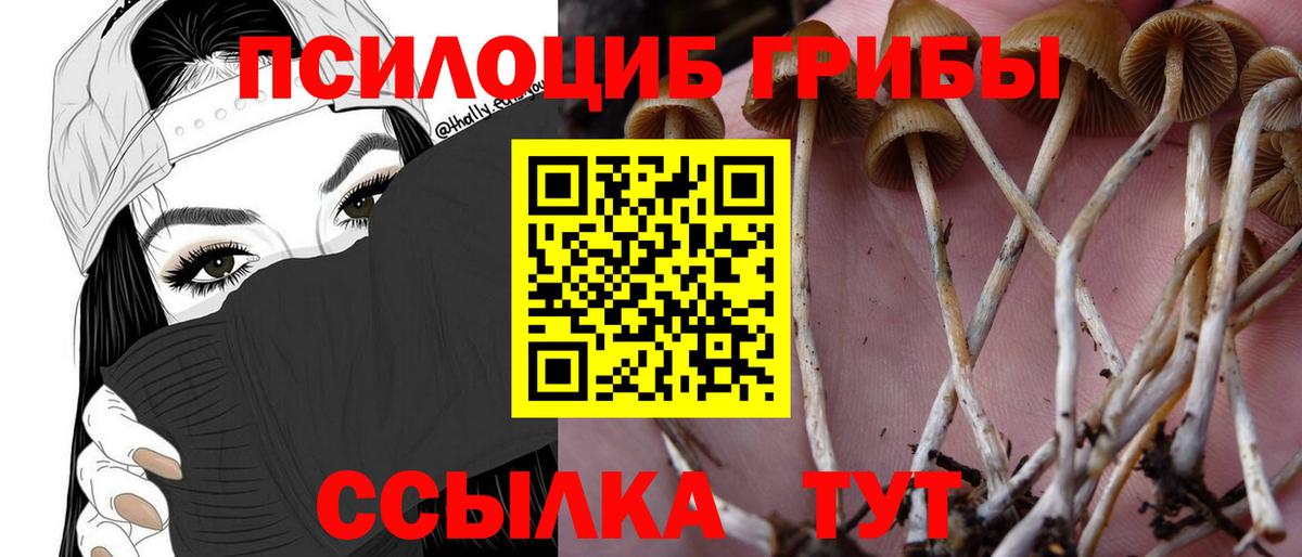 Галлюциногенные грибы прущие грибы  Псилоцибиновые грибы Cubensis  Нововоронеж  Вход с VPN 